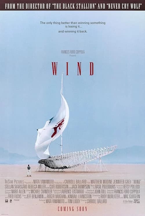 Wind film posteri